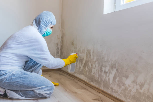 Licensed Mold Remediation service in Depoe Bay, OR - 24 Hour Mold Removal