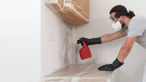 Professional Mold Remediation technician working in Depoe Bay, OR